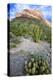 Organ Pipe Cactus NM, Ajo Mountain Drive Winds Through the Desert-Richard Wright-Premier Image Canvas