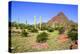 Organ Pipe Cactus NM, Puerto Planco Drive to Quitobaquito Spring-Richard Wright-Premier Image Canvas