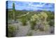 Organ Pipe Cactus NM, Saguaro and Cholla Cactus in the Ajo Mountains-Richard Wright-Premier Image Canvas