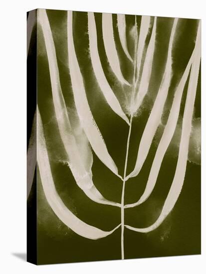 Organic Bloom III-Victoria Barnes-Stretched Canvas