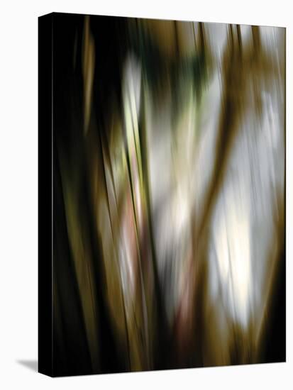 Organic III-Andrew Michaels-Premier Image Canvas