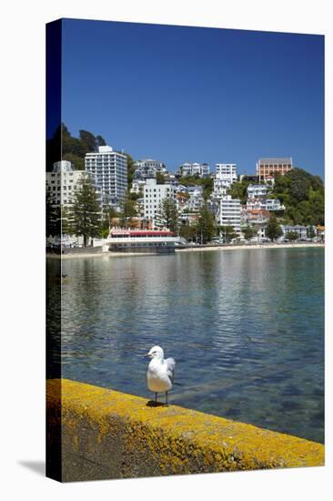 Oriental Bay, Wellington, North Island, New Zealand-David Wall-Premier Image Canvas