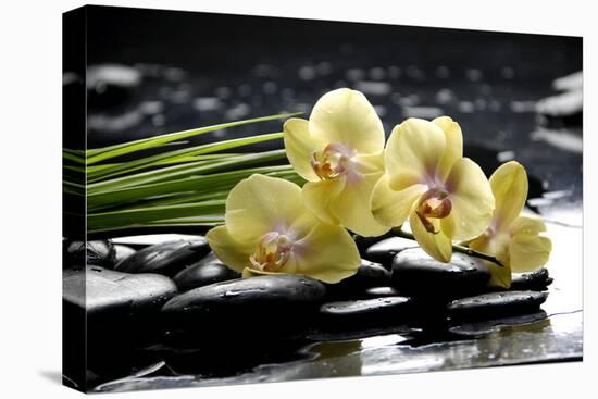 Oriental Spa with Orchid and Bottles with Essential Oil and Palm Leaf-crystalfoto-Premier Image Canvas