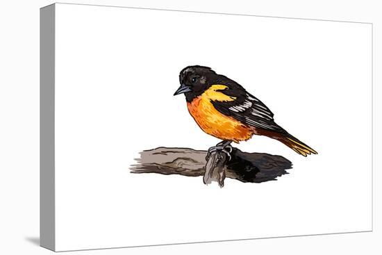 Oriole - Icon-Lantern Press-Stretched Canvas