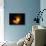 Orion Nebula-Terry Why-Premier Image Canvas displayed on a wall