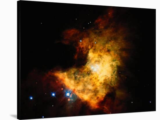 Orion Nebula-Terry Why-Premier Image Canvas