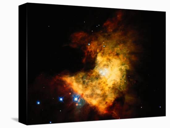 Orion Nebula-Terry Why-Premier Image Canvas