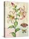 Oripet Lily Collage-Pamela Gladding-Stretched Canvas