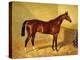 Orlando, a Bay Racehorse in a Loosebox, 1845-John Frederick Herring I-Premier Image Canvas