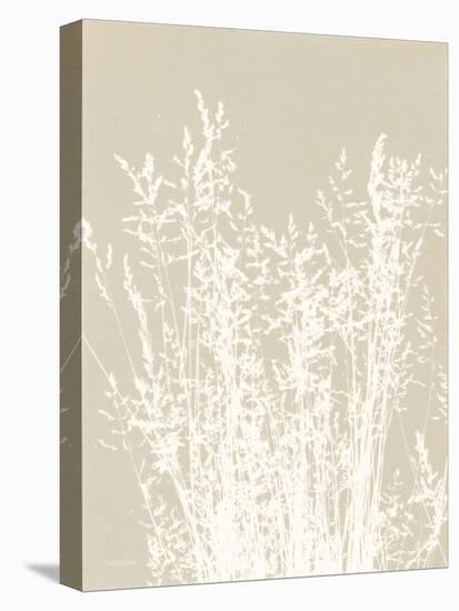 Ornamental Grass I Neutral-Kathy Ferguson-Stretched Canvas