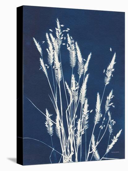 Ornamental Grass III-Kathy Ferguson-Stretched Canvas