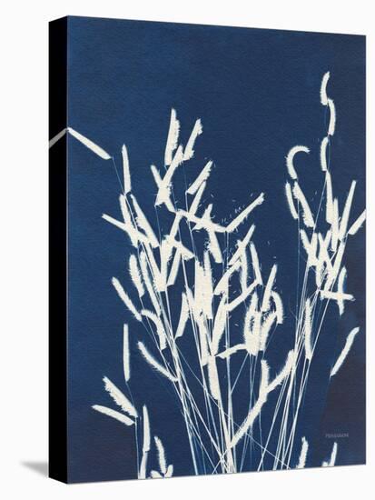 Ornamental Grass IV-Kathy Ferguson-Stretched Canvas