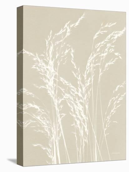 Ornamental Grass V Neutral-Kathy Ferguson-Stretched Canvas