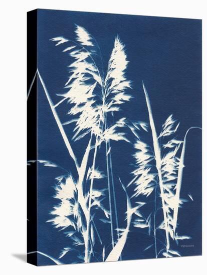 Ornamental Grass VI-Kathy Ferguson-Stretched Canvas