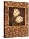 Ornamental Tulips-Andres Gonzales-Stretched Canvas