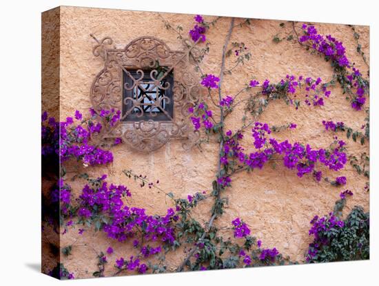 Ornamental Window, San Miguel De Allende, Mexico-Alice Garland-Premier Image Canvas