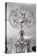 Ornate Ceiling Engraving-Mindy Sommers-Premier Image Canvas
