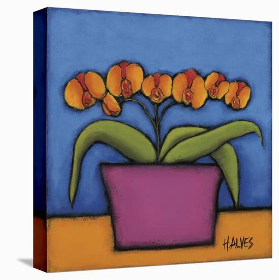 Orquidia Laranja-H Alves-Stretched Canvas