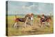 Orthodox Foxhounds-Thomas Ivester Llyod-Stretched Canvas