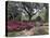 Orton Plantation Gardens, North Carolina, USA-null-Premier Image Canvas