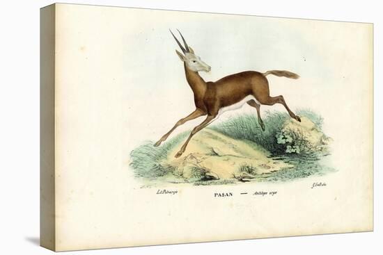 Oryx, 1863-79-Raimundo Petraroja-Premier Image Canvas