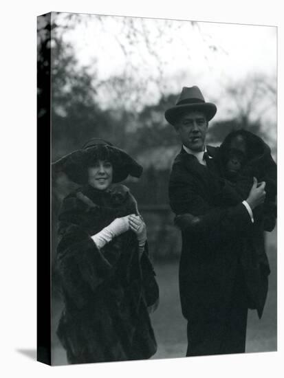 Osa and Martin Johnson with an Orangutan and Gibbon, London Zoo, October 1920-Frederick William Bond-Premier Image Canvas