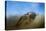 Osprey over Pickwick-Jai Johnson-Premier Image Canvas
