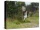 Osprey (Pandion Haliaetus) Flying With Fish Prey, Pirkanmaa, Finland, August-Jussi Murtosaari-Premier Image Canvas