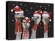 Ostrich, Christmas Gals-Fab Funky-Stretched Canvas
