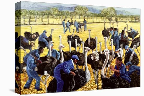 Ostrich Farm, 1988-Komi Chen-Premier Image Canvas