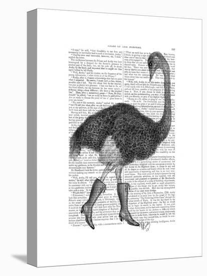 Ostrich in Boots-Fab Funky-Stretched Canvas