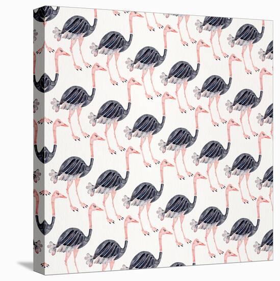 Ostrich Pattern-Cat Coquillette-Stretched Canvas