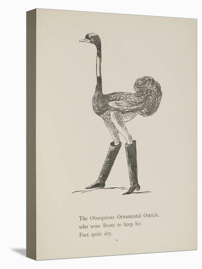 Ostrich Wearing Boots From a Collection Of Poems and Songs by Edward Lear-Edward Lear-Premier Image Canvas