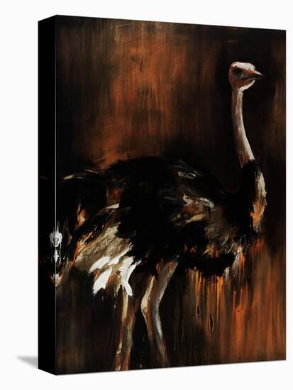 Ostrich-Sydney Edmunds-Premier Image Canvas