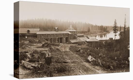 Oswego Iron Works, Willamette River, Oregon, 1867-Carleton Watkins-Stretched Canvas