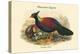 Otidiphaps Nobilis - Pheasant Pigeon-John Gould-Stretched Canvas