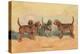 Otter Hounds-Thomas Ivester Llyod-Stretched Canvas