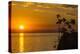 Otter Point at Sunset, Cape Maclear, Lake Malawi, Malawi, Africa-Michael Runkel-Premier Image Canvas