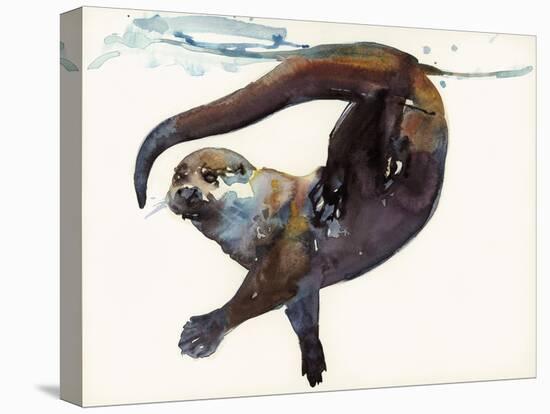 Otter Study II -'Talisker'-Mark Adlington-Premier Image Canvas