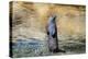 Otter-Reiner Bernhardt-Premier Image Canvas