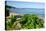 Oualie Beach, Nevis, St. Kitts and Nevis, Leeward Islands, West Indies, Caribbean, Central America-Robert Harding-Premier Image Canvas