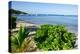 Oualie Beach, Nevis, St. Kitts and Nevis, Leeward Islands, West Indies, Caribbean, Central America-Robert Harding-Premier Image Canvas