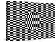 Ouchi Illusion-Science Photo Library-Premier Image Canvas