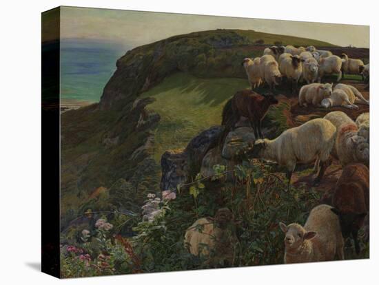 Our English Coasts, 1852 ('Strayed Sheep')-William Holman Hunt-Premier Image Canvas