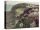 Our English Coasts-William Holman Hunt-Premier Image Canvas