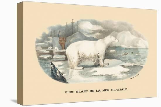 Ours Blanc de la Mer Glaciale-E.f. Noel-Stretched Canvas