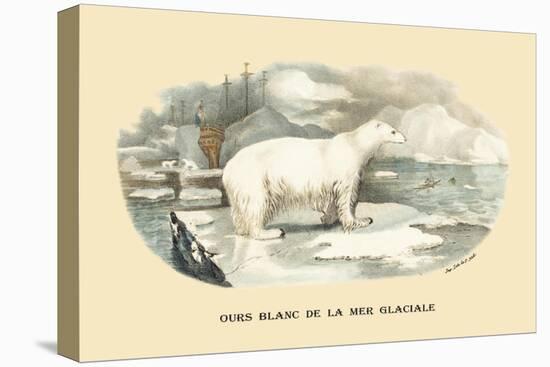 Ours Blanc de la Mer Glaciale-E.f. Noel-Stretched Canvas