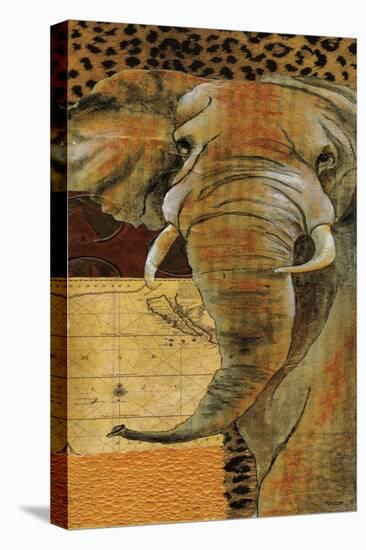 Out of Africa II-Janet Tava-Stretched Canvas
