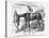 Out of the Race, 1864-John Tenniel-Premier Image Canvas