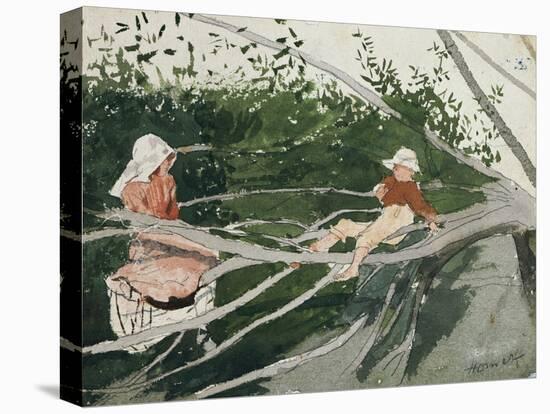 Out on a Limb-Winslow Homer-Premier Image Canvas